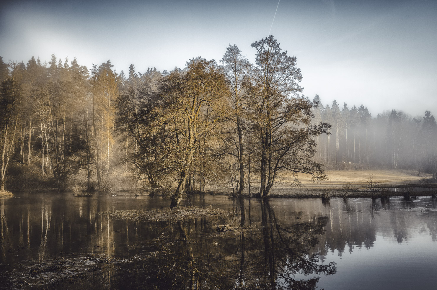 Schwarzweißaufnahme eines überfluteten Auwaldes an der Eger mit feinen Spiegelungen und Nebel
