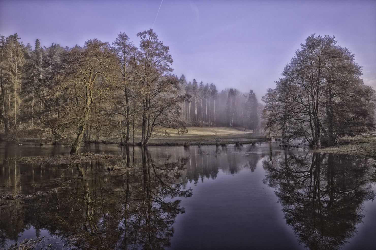 Vom Sonnenlicht erfasste kahle Bäume spiegeln sich im ruhigen Wasser der Eger bei Kaiserhammer